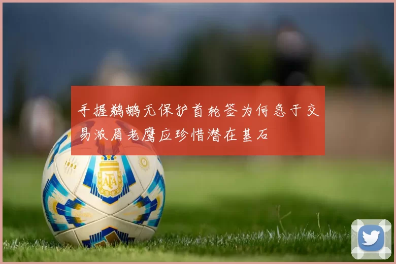 手握鹈鹕无保护首轮签为何急于交易浓眉老鹰应珍惜潜在基石